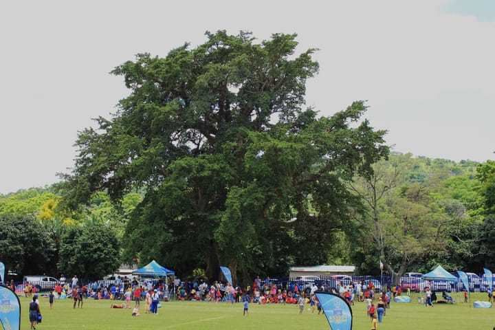 Oom Paul Kruger’s calm-under-fire visit to the goldfields