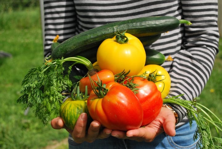 Barberton’s summer bounty: get your veggie garden ready now