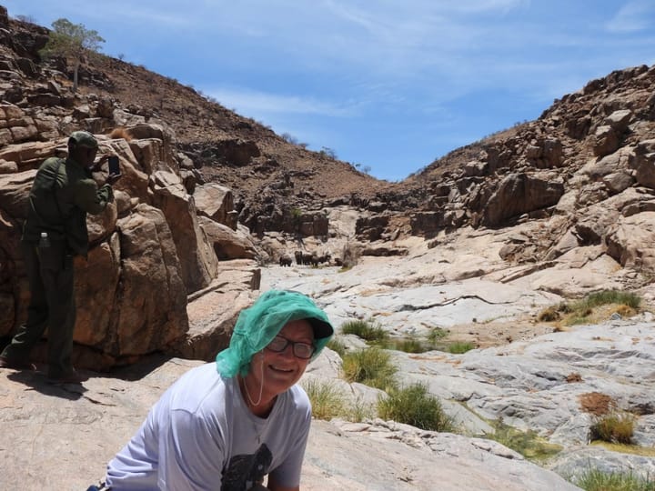 My ontmoeting met die Gentle Giants van Namibië