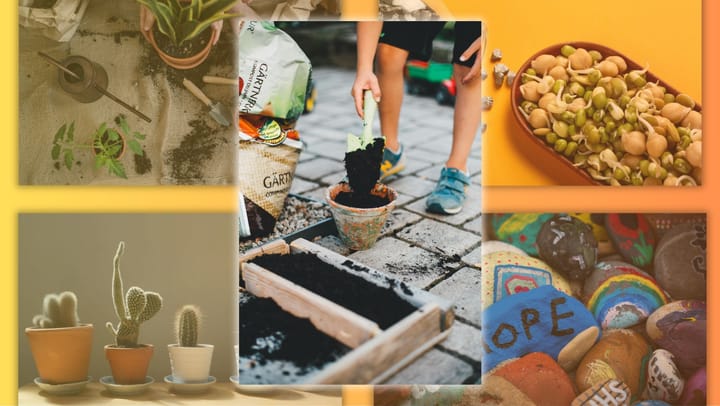 🎥 Kids, this one’s for you: Grow it, plant it, paint it!