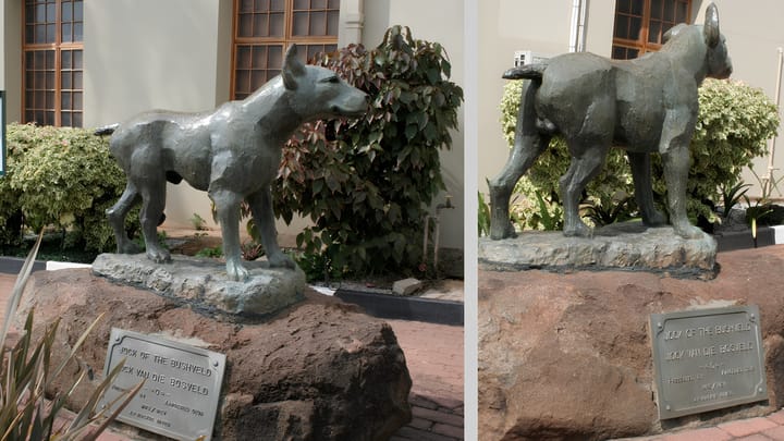Jock of the Bushveld: History, memory and the making of a legend