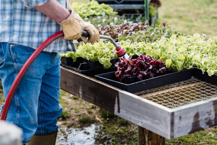 Saving water in your Lowveld garden